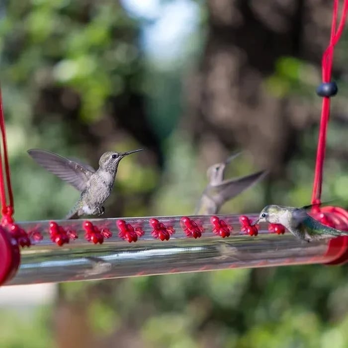 LAST DAY 70% OFF-Flower bar hummingbird feeder