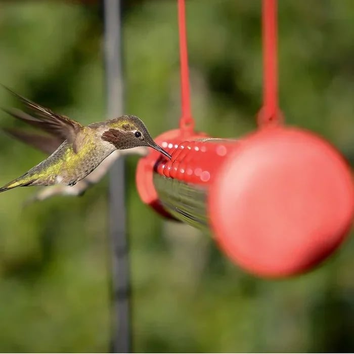 inferrtcore LAST DAY 70% OFF-Flower bar hummingbird feeder