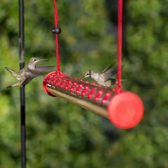 inferrtcore LAST DAY 70% OFF-Flower bar hummingbird feeder