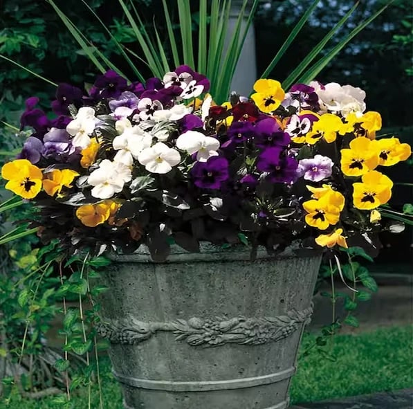 Driftdippe Last Day 70% OFF-Outdoor Artificial Pansy Flowers