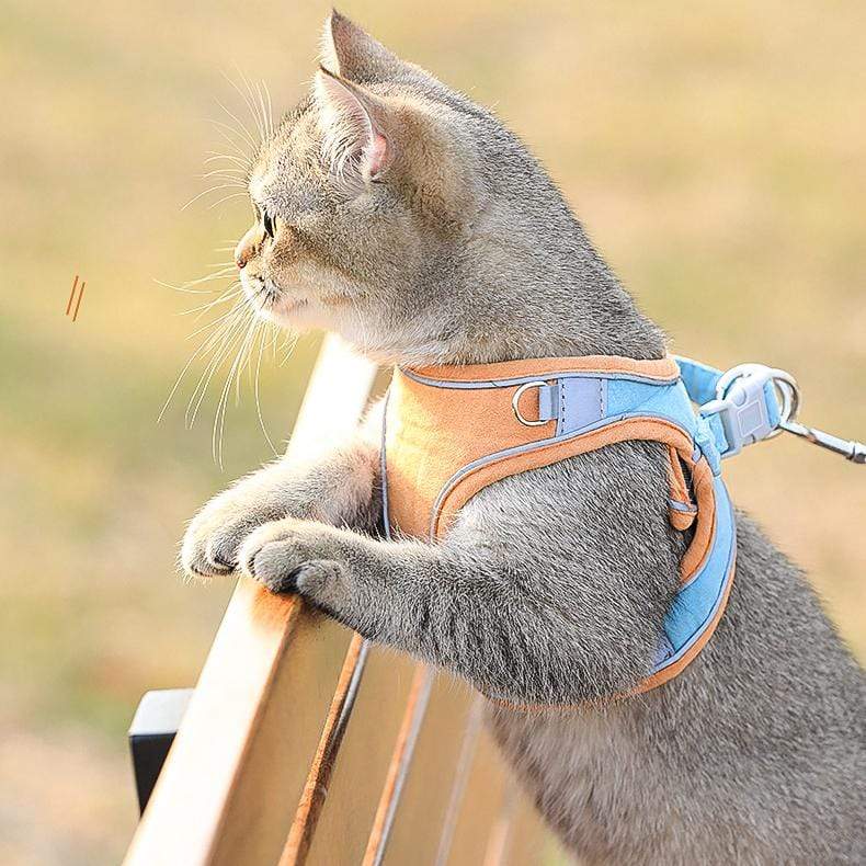 turf milky - Luminous Cat Vest Harness and Leash Set