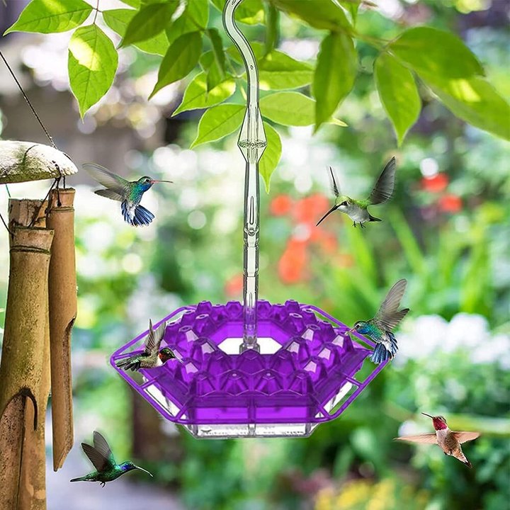 (Last Day Promotion-SAVE 50% OFF) Mary's Hummingbird Feeder With Perch And Built-in Ant Moat