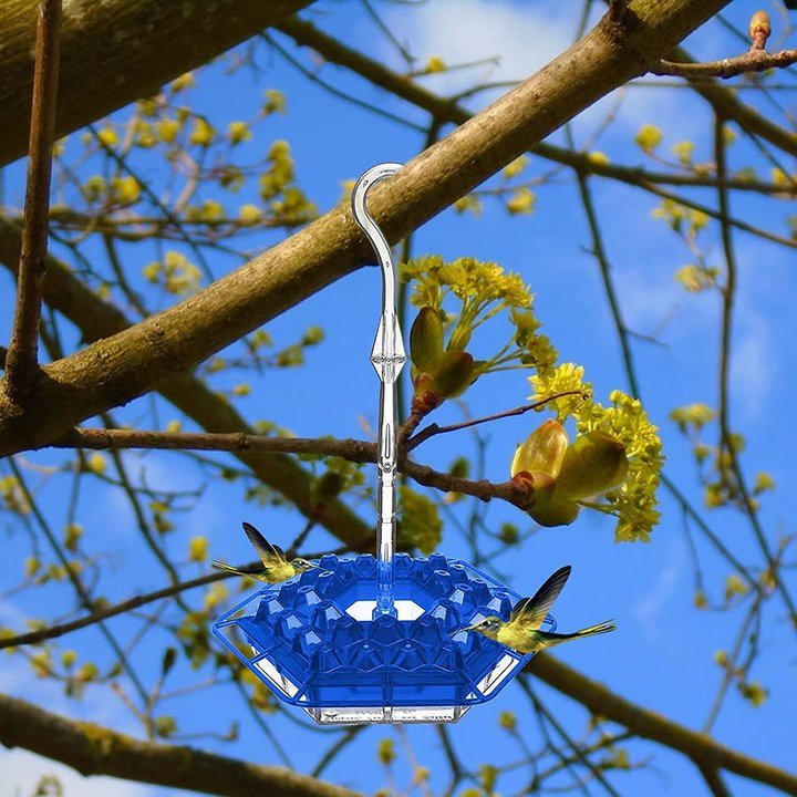 (Last Day Promotion-save 50% Off) Mary's Hummingbird Feeder With Perch and Built-in Ant Moat