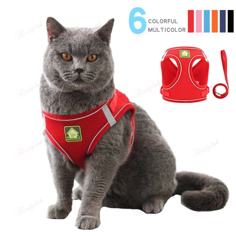 Luminous Cat Vest Harness and Leash Set