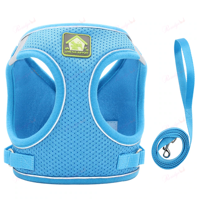 Luminous Cat Vest Harness and Leash Set