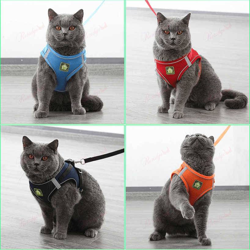 Luminous Cat Vest Harness and Leash Set