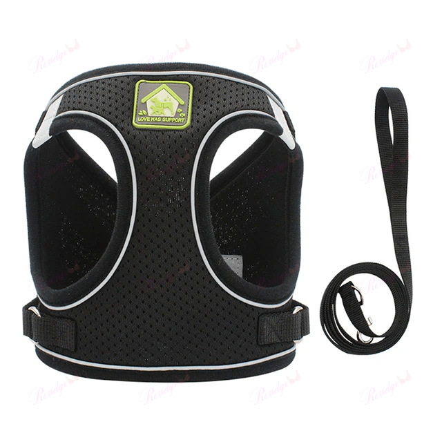 Luminous Cat Vest Harness and Leash Set