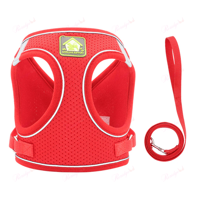 Luminous Cat Vest Harness and Leash Set