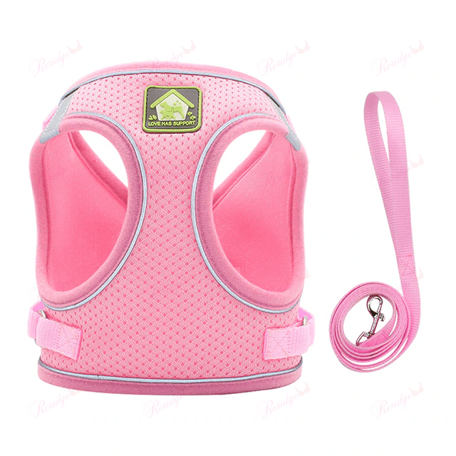 Luminous Cat Vest Harness and Leash Set