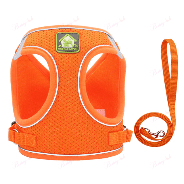 Luminous Cat Vest Harness and Leash Set