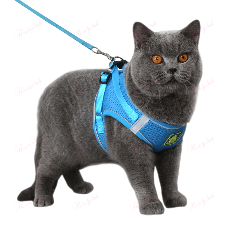 Luminous Cat Vest Harness and Leash Set