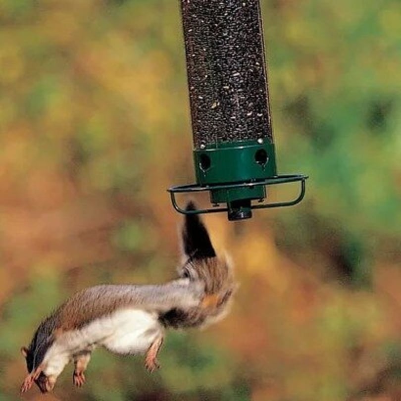 New Spring 2023 – 100% Squirrel-Proof Bird Feeder