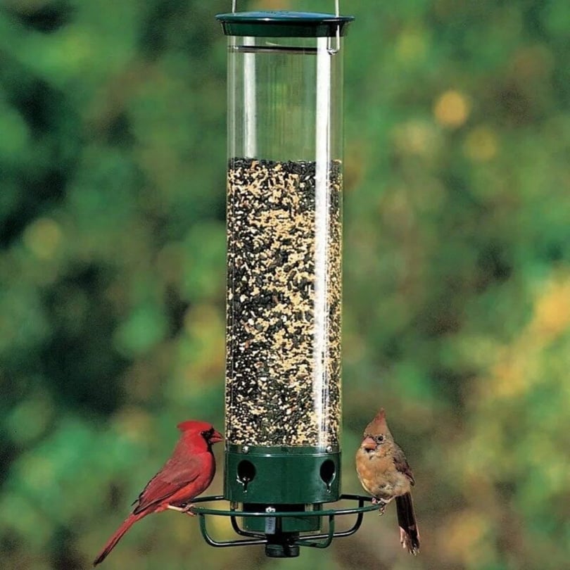 New Spring 2023 - 100% Squirrel-Proof Bird Feeder