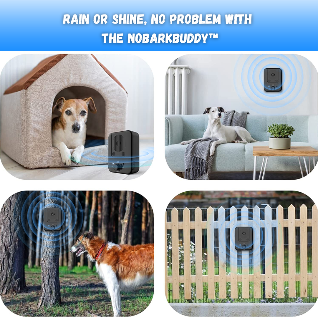 NoBarkBuddy - Dog Barking Trainer