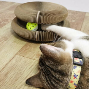 Organlada Cat Scratcher