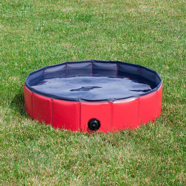 Portable Paw Pool