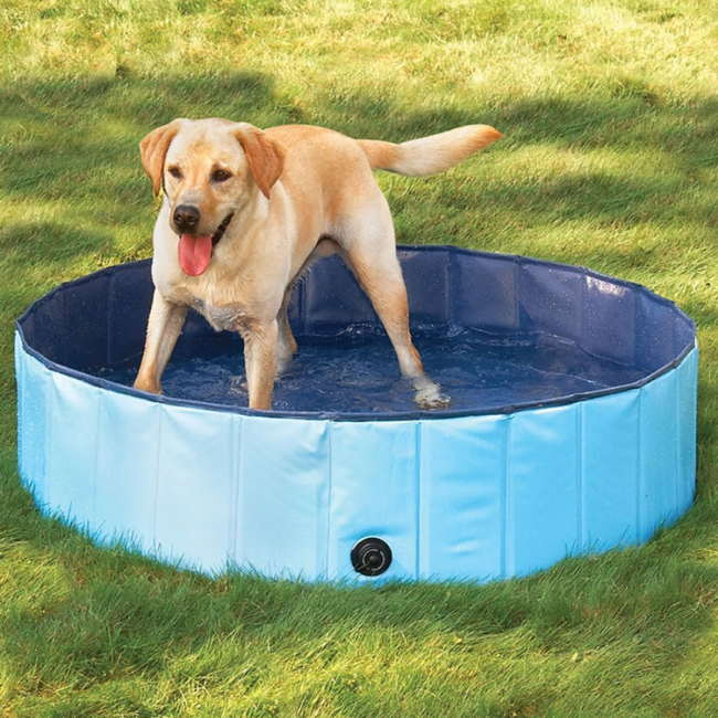 Portable Paw Pool