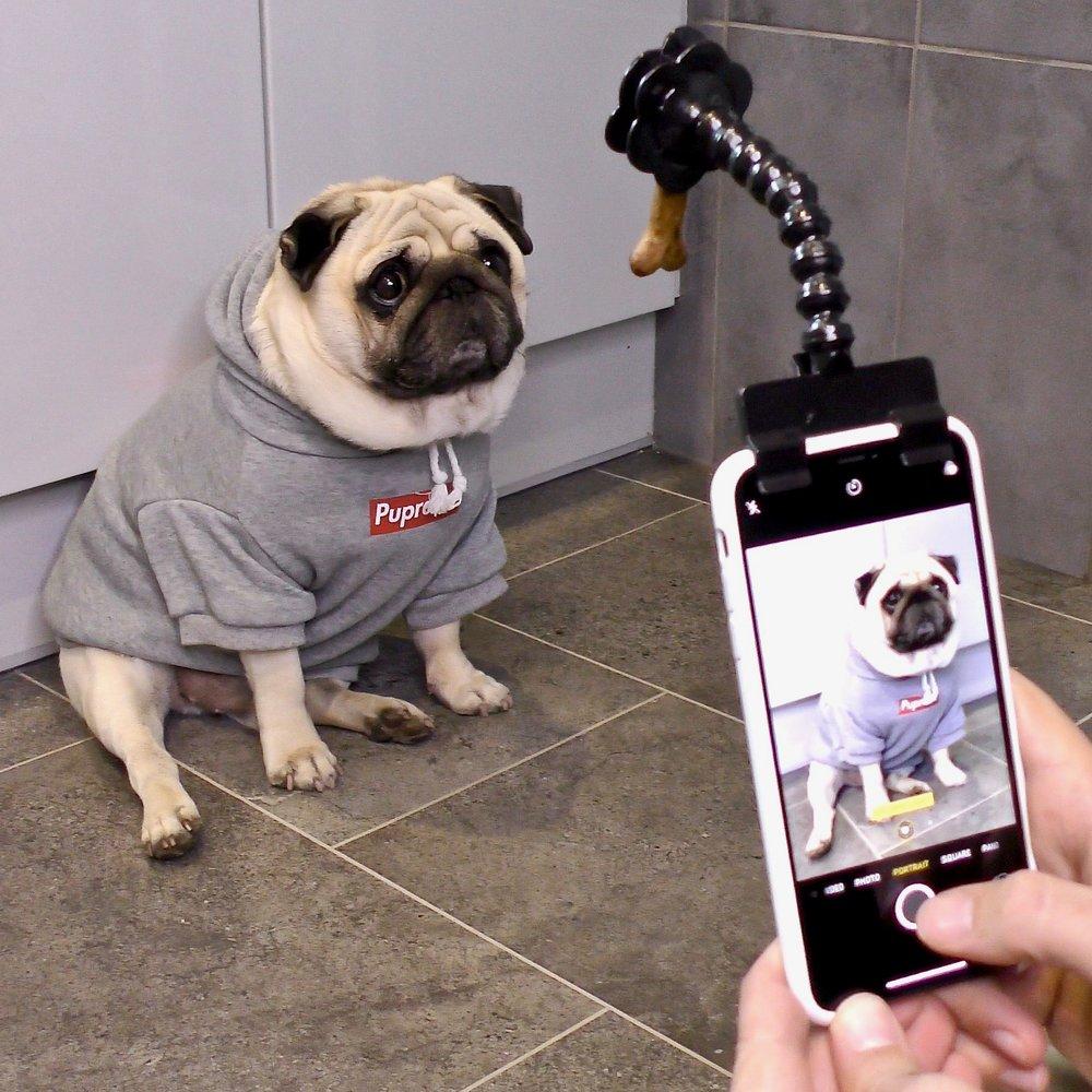 Selfie Stick for Pets