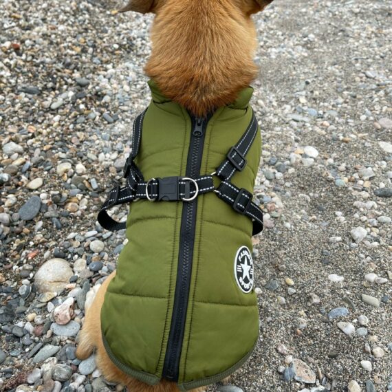 3 In 1 Dog Winter Jacket