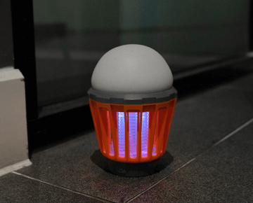 Boundery Bug Bulb