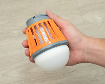 Boundery Bug Bulb