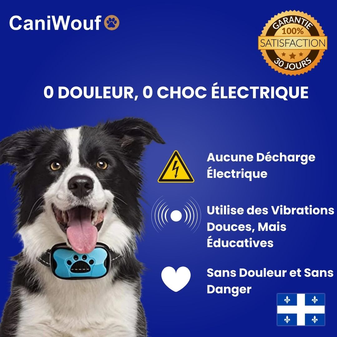 Caniwouf - Collier Anti-Aboiement Sans Douleur et Sans Danger