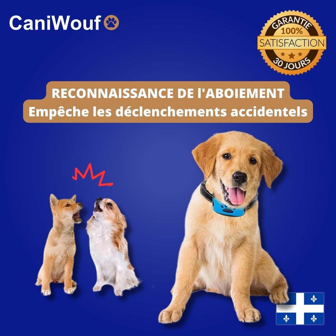 Caniwouf - Collier Anti-Aboiement Sans Douleur et Sans Danger