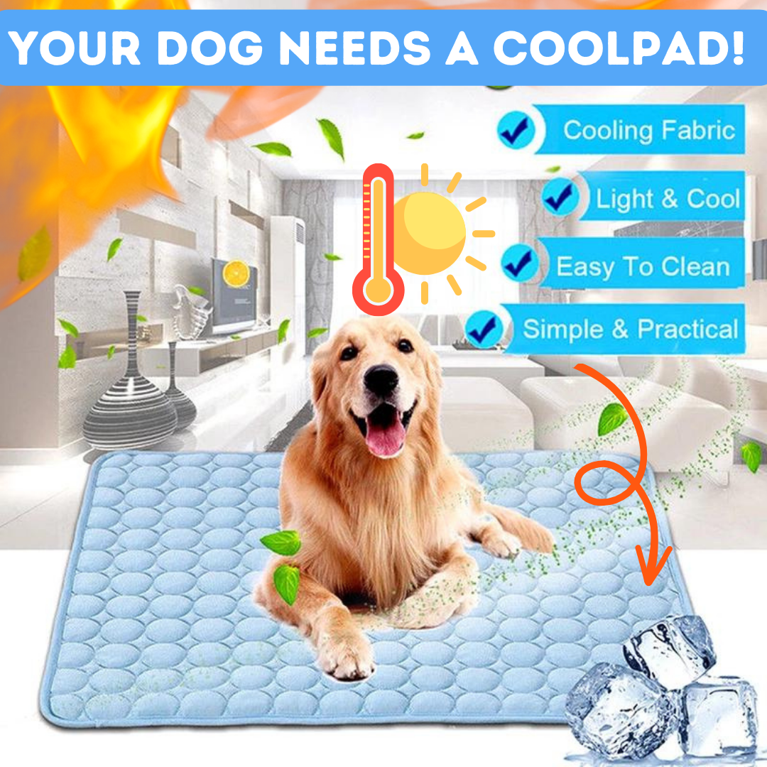 CoolPad: the N.1 cooling pad