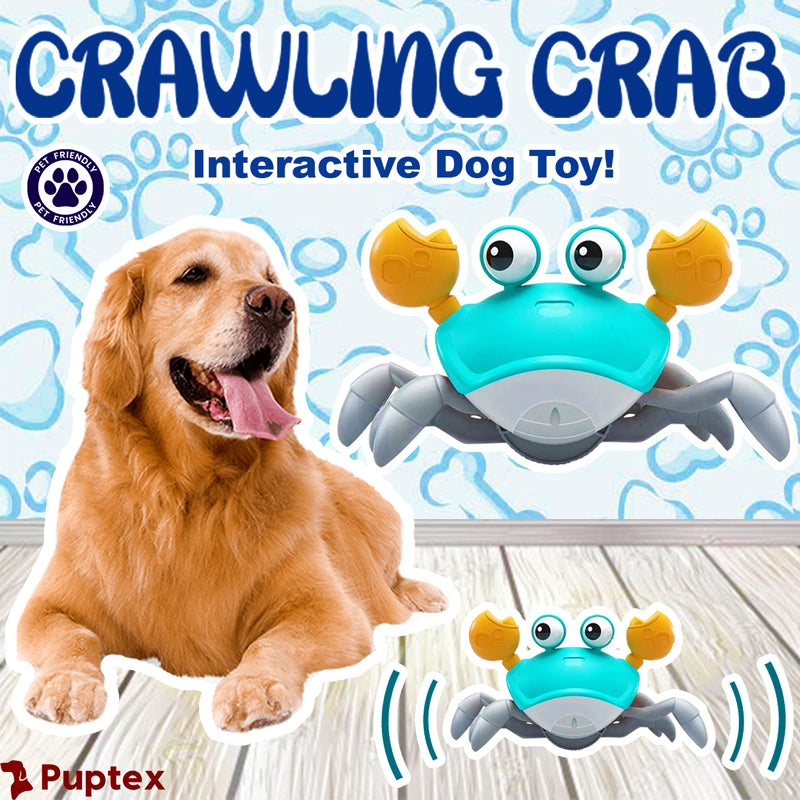 puptex - Crawling Crab - Interactive Dog Toy