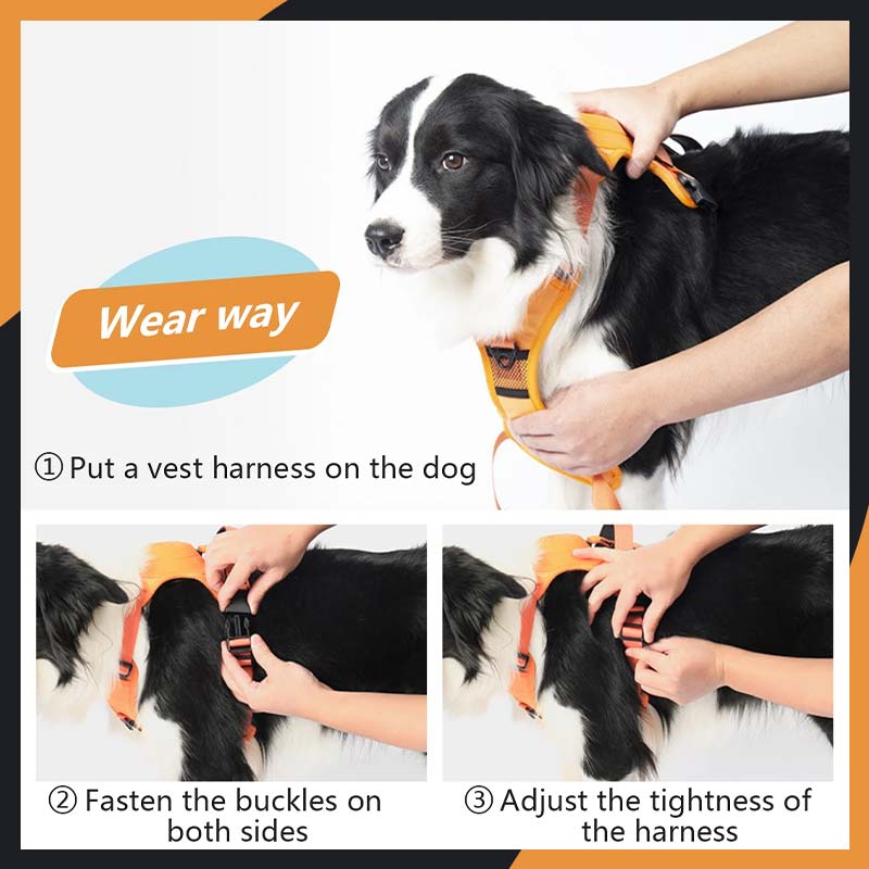 Dog Harness & Retractable Leash 2 in 1