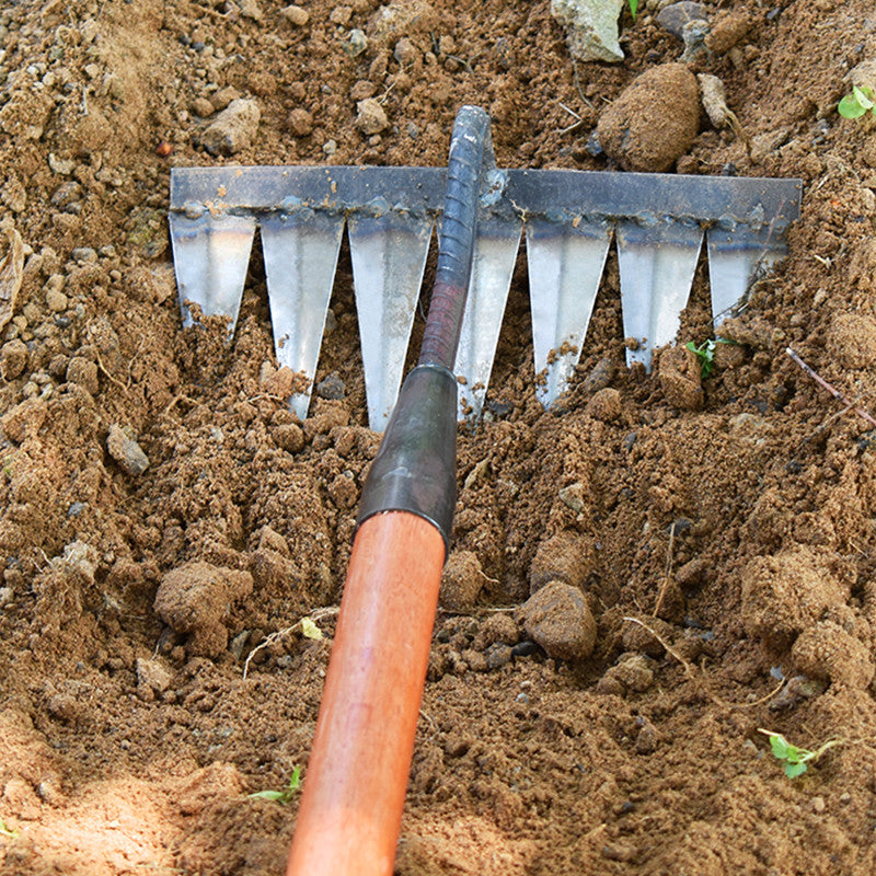 EzRake  The Iron Weeder Rake for Efficient Yard Maintenance