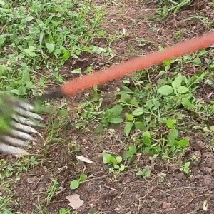 EzRake  The Iron Weeder Rake for Efficient Yard Maintenance