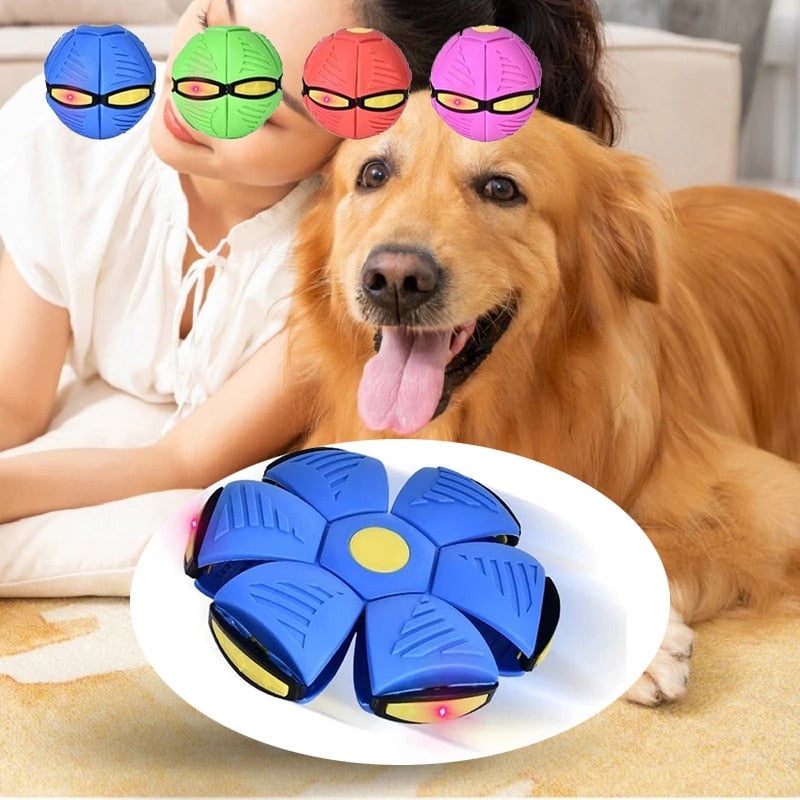 FidoFris - Pet Flying Saucer LED UFO Magic Ball Helps Relieve Stress, Anxiety & Boredom with Indoor & Outdoor Interactive Play