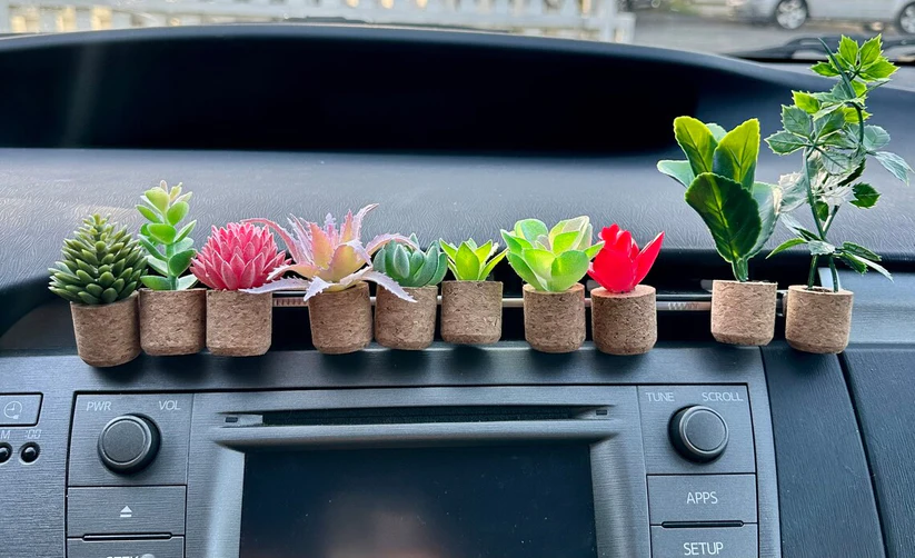 Fresh Florals Succulent Air Freshner Vent Clips