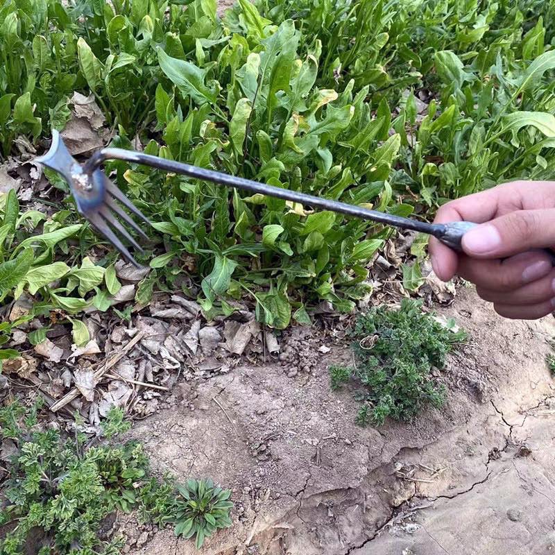 (HOT SALE NOW - 48% OFF) Gardening Hand Weeder Tools - BUY 2 GET 10% OFF