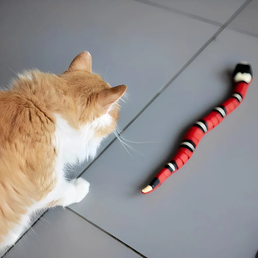 Jouet Serpent Intelligent pour Chat