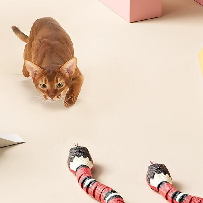 Jouet Serpent Intelligent pour Chat