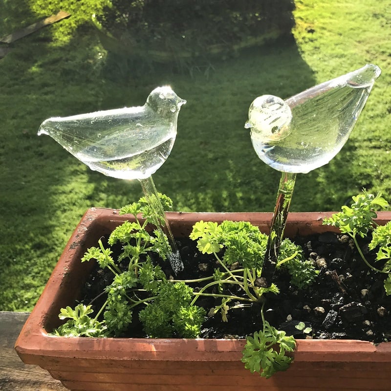 (Last Day Promotion - SAVE 50% OFF) Self-Watering Plant Glass Bulbs