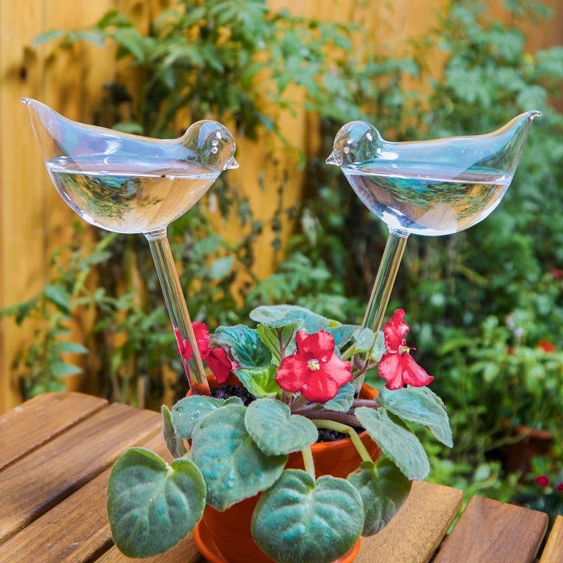 (Last Day Promotion - SAVE 50% OFF) Self-Watering Plant Glass Bulbs