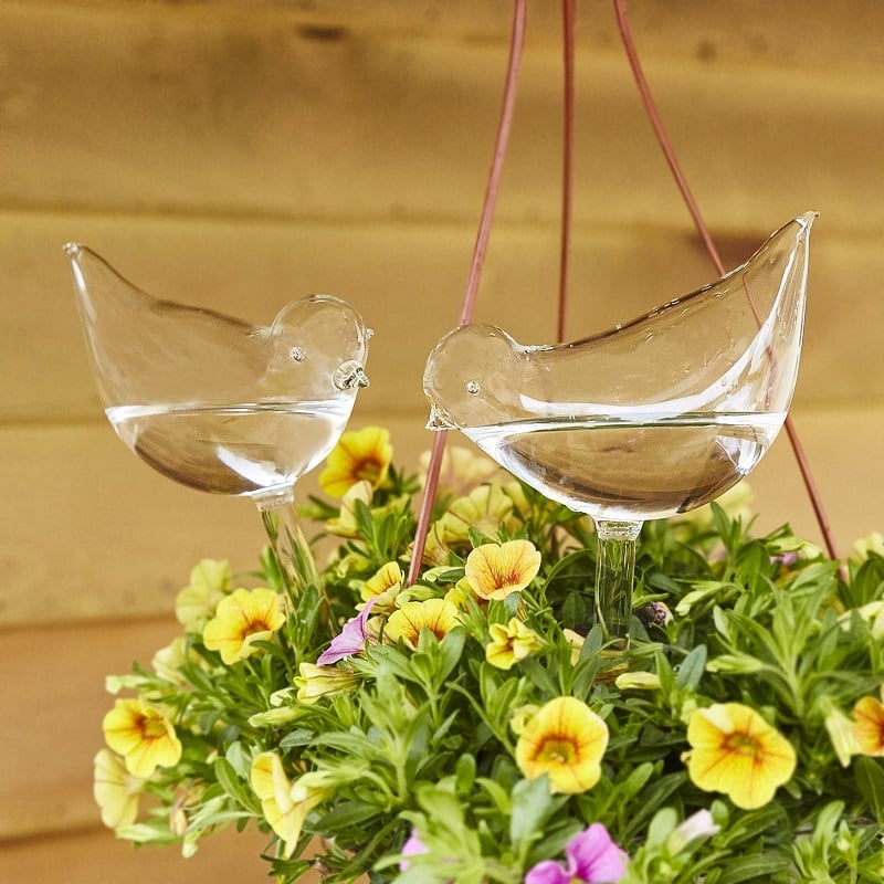 (Last Day Promotion - SAVE 50% OFF) Self-Watering Plant Glass Bulbs