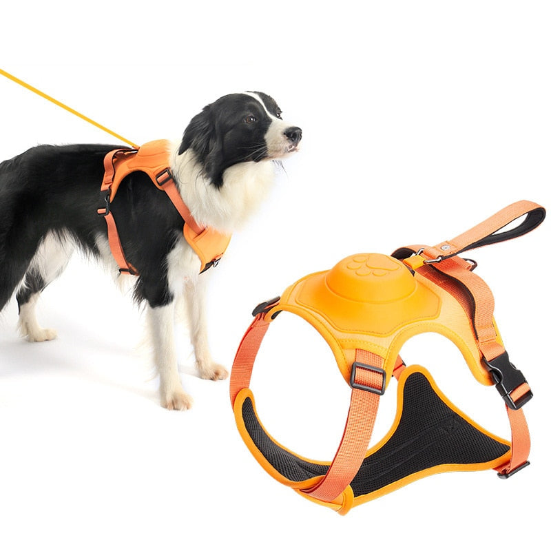 No Pull Dog Harness With Retractable Leash - The Ultimate All-In-One Solution for Your Dog