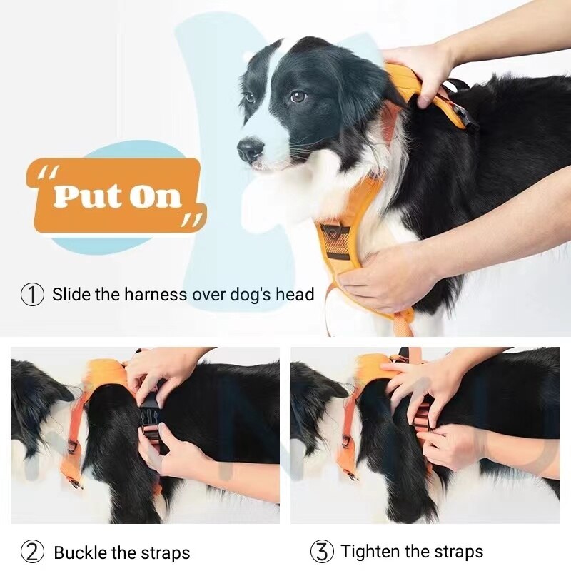 No Pull Dog Harness With Retractable Leash - The Ultimate All-In-One Solution for Your Dog