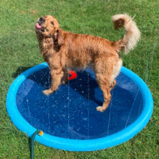 PupSplash Sprinkler Pad