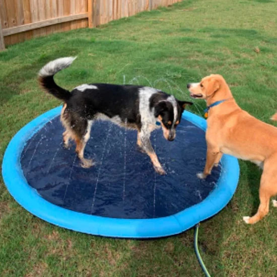 PupSplash Sprinkler Pad