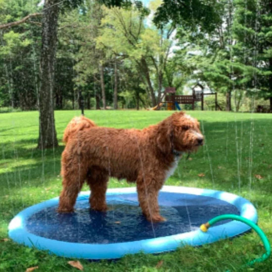 PupSplash Sprinkler Pad