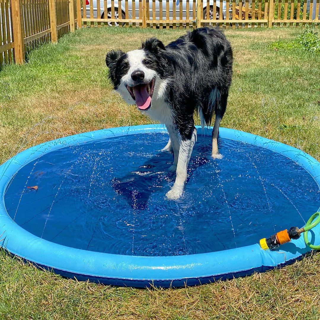 Splash Pad