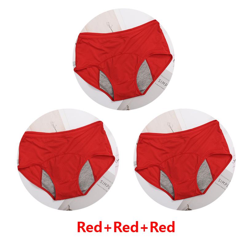 (Summer Hot Sale 50% OFF) Menstrual Period Leak Proof Panties - Buy 2 Set Get 10% OFF