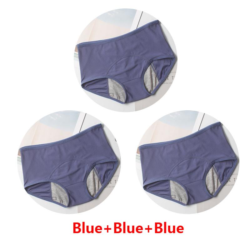 (Summer Hot Sale 50% OFF) Menstrual Period Leak Proof Panties - Buy 2 Set Get 10% OFF