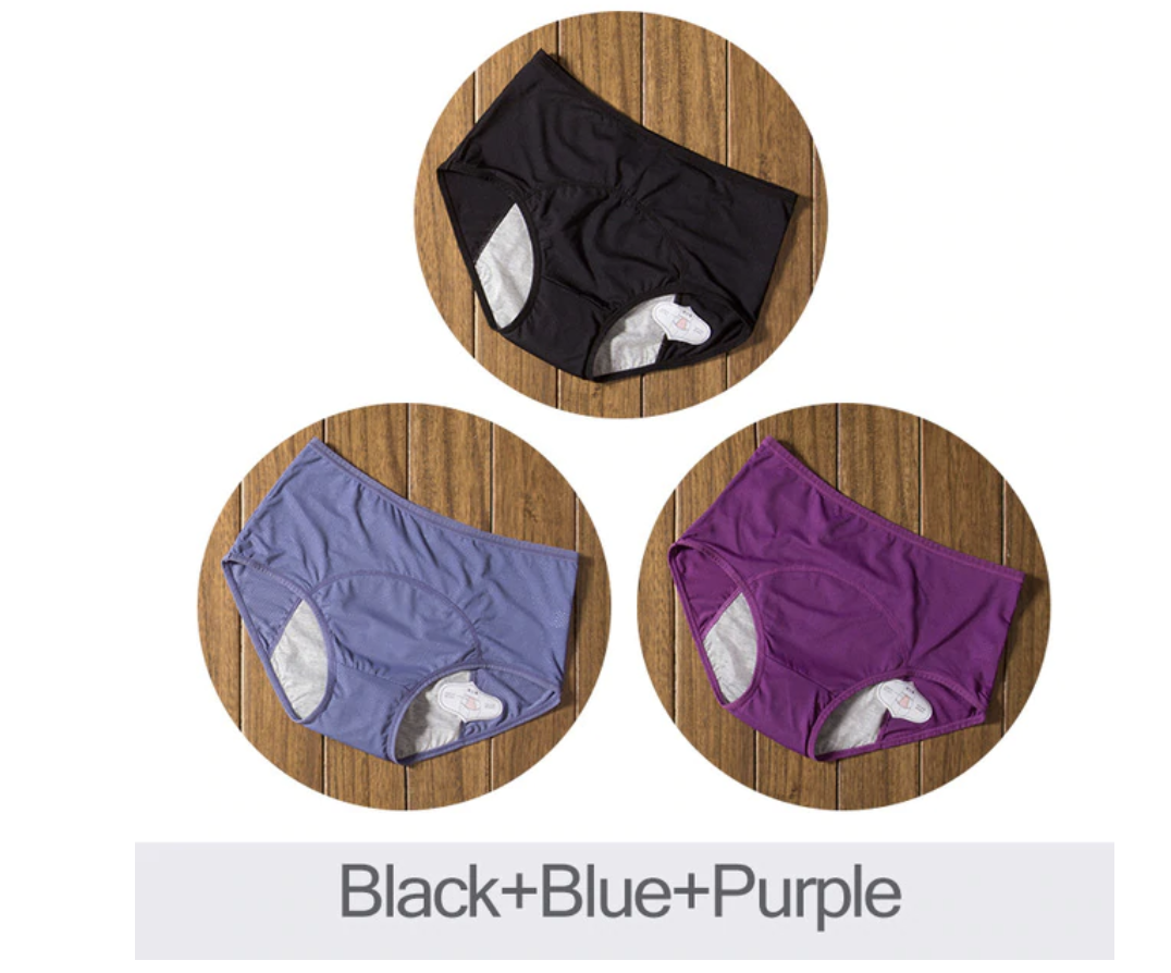 (Summer Hot Sale 50% OFF) Menstrual Period Leak Proof Panties - Buy 2 Set Get 10% OFF