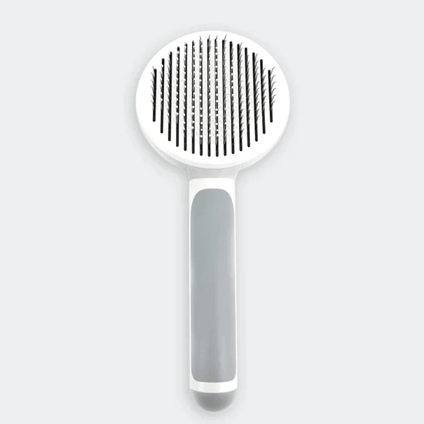 THE SELF - CLEANING BRUSH